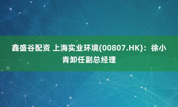 鑫盛谷配资 上海实业环境(00807.HK)：徐小青卸任副总经理