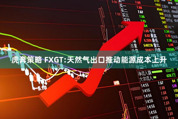 虎奔策略 FXGT:天然气出口推动能源成本上升